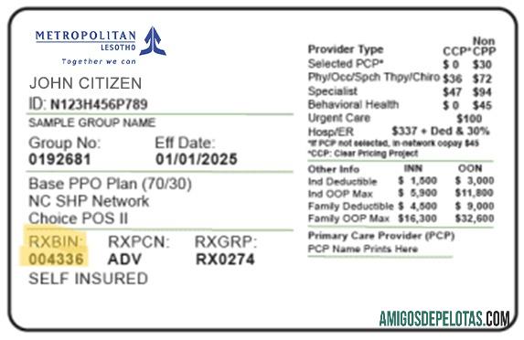 Cartão de seguro saúde do Lesoto amostra